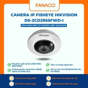 Camera IP Fisheye Hikvision DS-2CD2955FWD-I