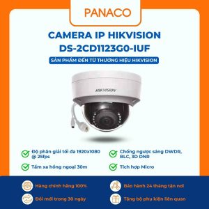 Camera IP Hikvision DS-2CD1123G0-IUF