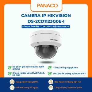 Camera IP Hikvision DS-2CD1123G0E-I