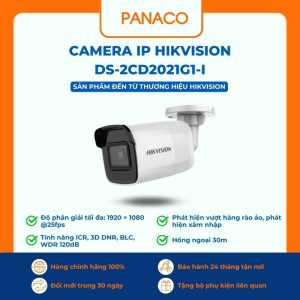 Camera IP Hikvision DS-2CD2021G1-I