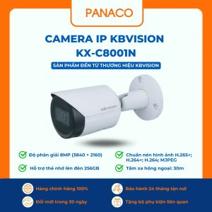 Camera IP Kbvision KX-C8001N