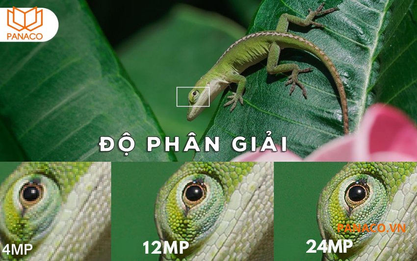 KX-DAi4K8216SN3P16 hỗ trợ kết nối camera IP có độ phân giải 24MP