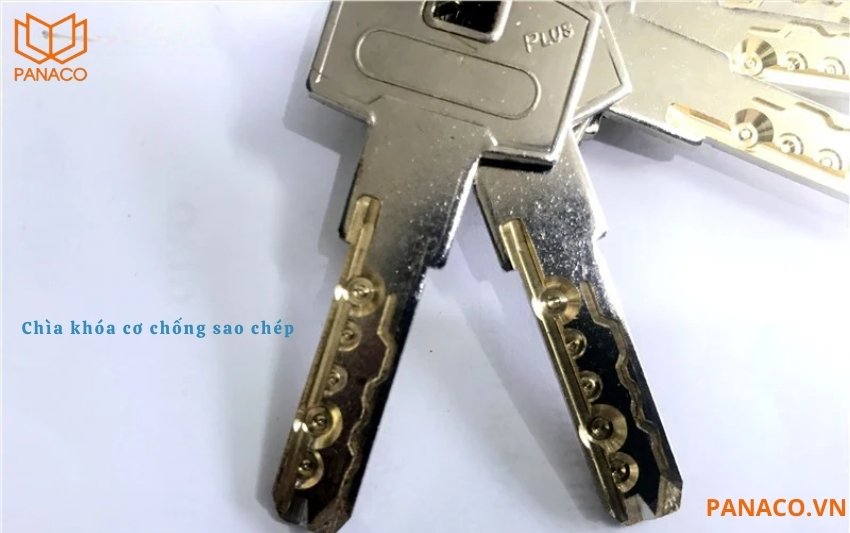2 chìa khóa cơ chống sao chép dùng để mở khóa cửa Demax SL920 GS 