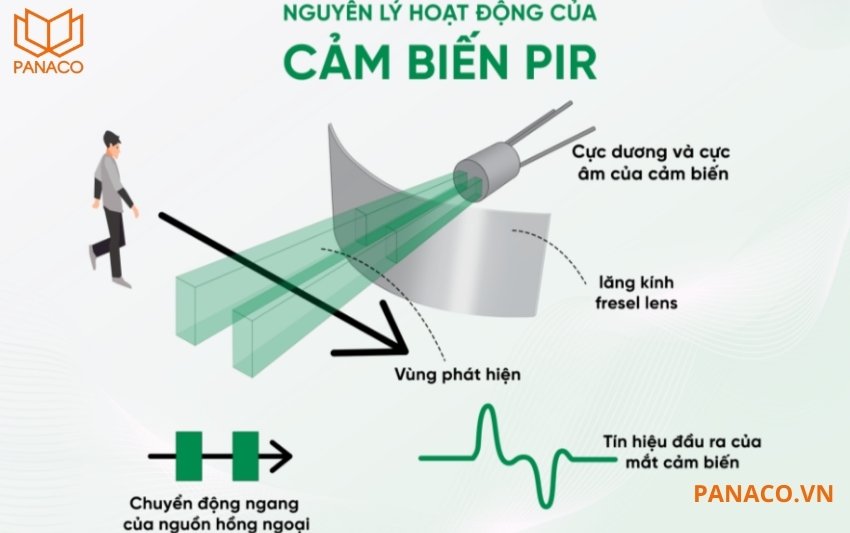 Camera được tích hợp cảm biến PIR phát hiện người