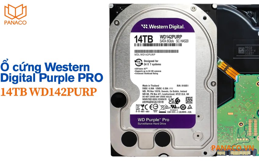 Ổ cứng Western Digital Purple PRO 14TB WD142PURP