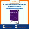 Ổ cứng camera 18TB Western Purple WD181PURP