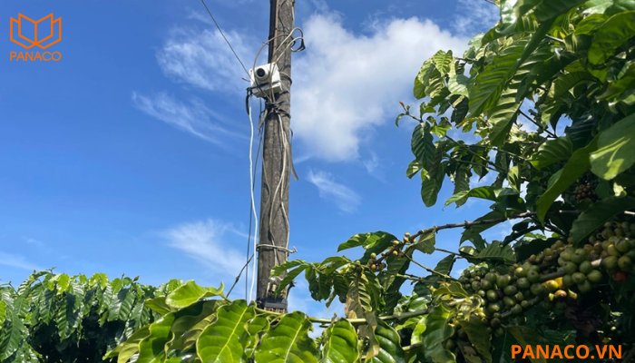 Camera không cần điện lắp ở đâu hiệu quả nhất?