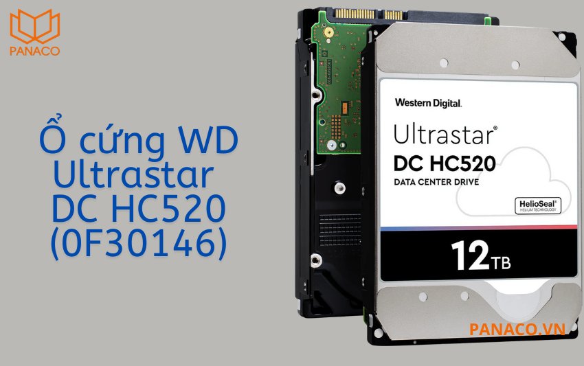 Ổ cứng WD Ultrastar DC HC520 (0F30146)