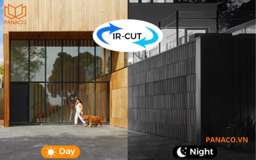 Camera tự động chuyển đổi giữa chế độ màu ban ngày và chế độ trắng đen ban đêm