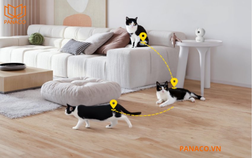 KX-S5P có khả năng Smart Tracking – tự động theo dõi đối tượng chuyển động