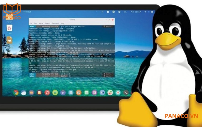 DS-K1T673DWX sử dụng hệ điều hành Linux