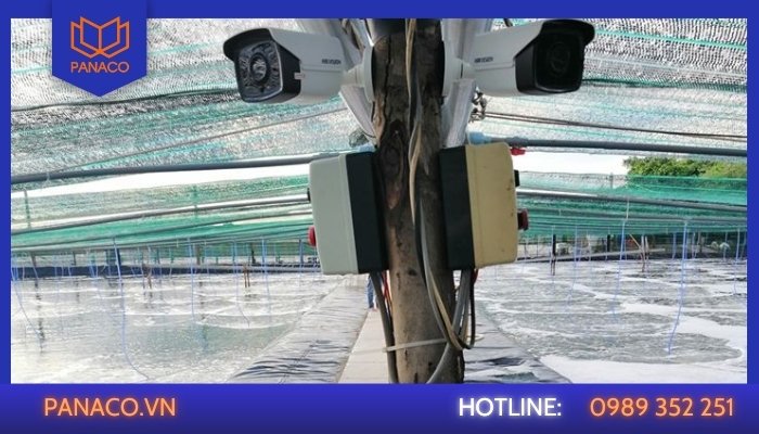 Lắp camera trên bờ ao hướng bao quát