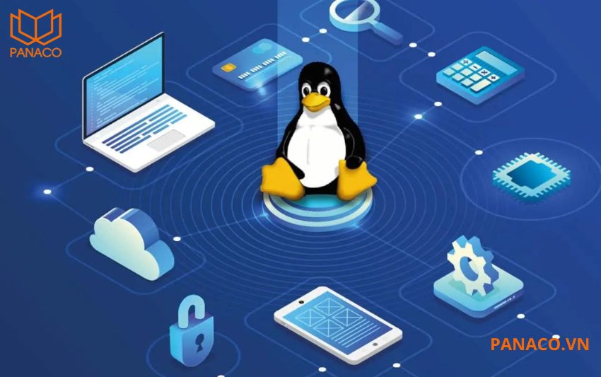 DS-K1T323MBWX-E1 sử dụng hệ điều hành Linux giúp thiết bị hoạt động chắc chắn mà không bị giật, treo thường xuyên như các hệ chạy nền Windows. 