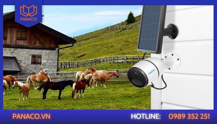 Tư vấn lắp đặt camera cho trang trại