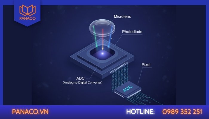 Thành phần cấu tạo của cảm biến hình ảnh