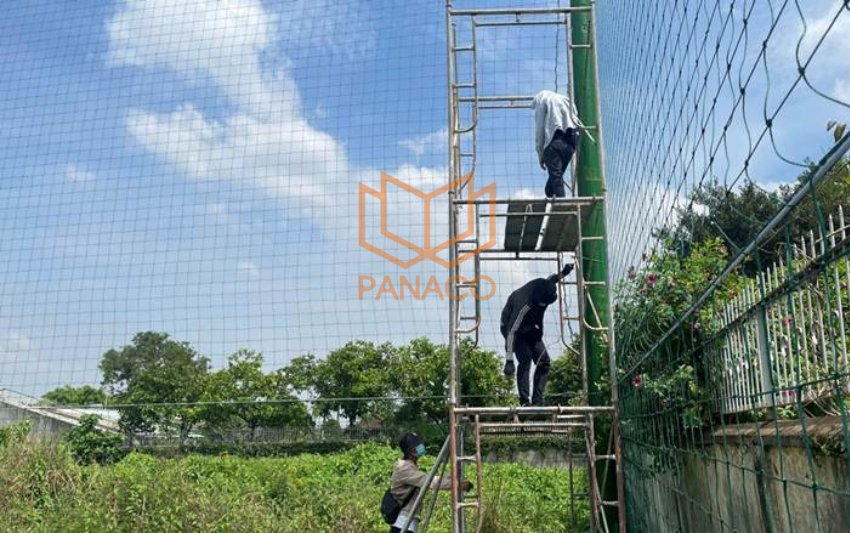 Panaco đi dây gọn gàng dọc theo tường sân