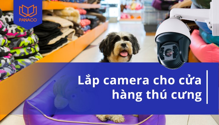 lắp camera cho cửa hàng thú cưng