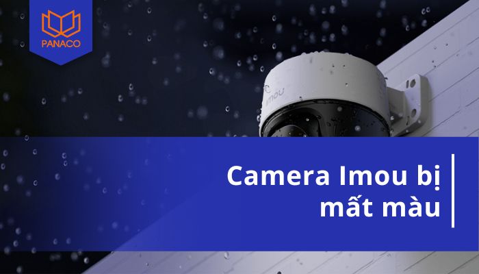 camera imou bị mất màu