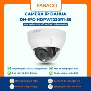 Camera IP Dahua DH-IPC-HDPW1230R1-S5