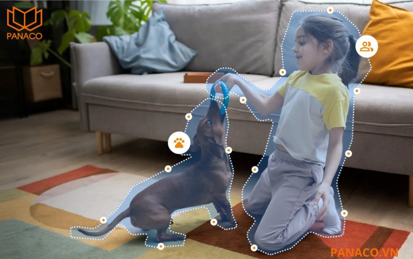 Camera nhận diện chính xác các chuyển động của con người, thú cưng