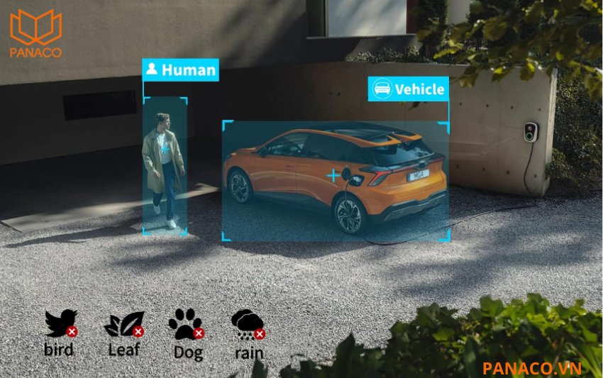 Camera phân loại chính xác người và phương tiện