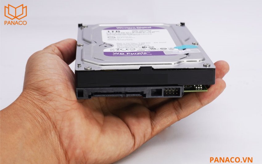 WD Purple WD10PURZ sử dụng chuẩn kết nối SATA 3 (6Gb/s) với kích thước 3.5 inch