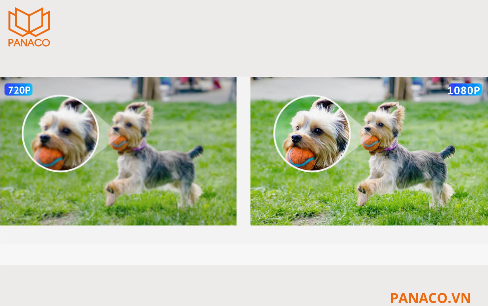 DH-HAC-HMW3200LP-FR ghi hình kép 2 kênh 2MP