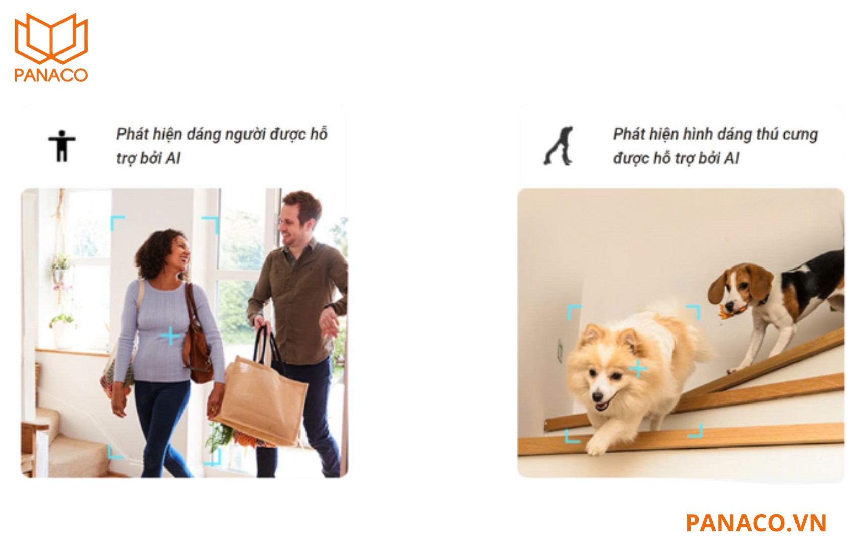 C6N Pro 2K tích hợp thuật toán AI hỗ trợ nhận dạng dáng người và thú cưng