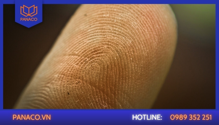 Máy chấm công không nhận vân tay