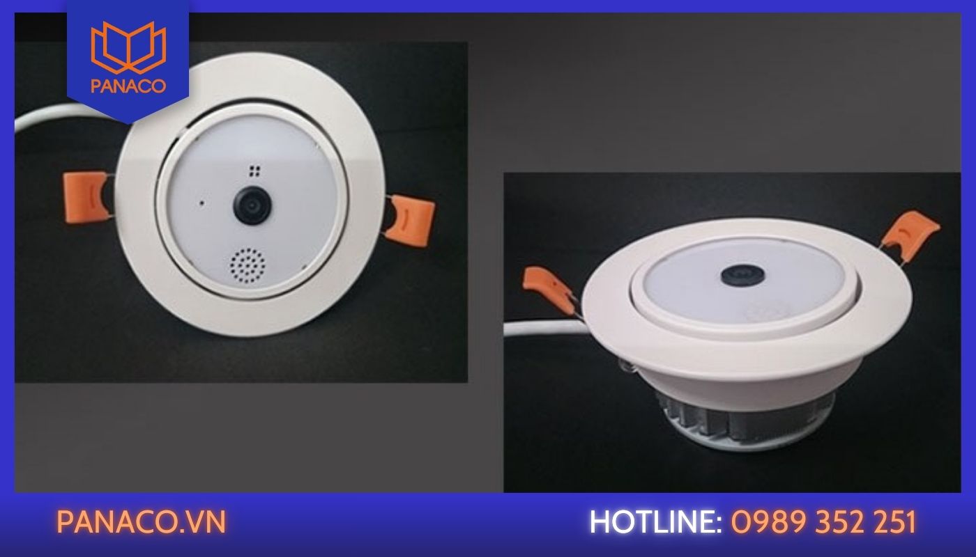 camera ngoài trời ngụy trang camera ngoài trời ngụy trang