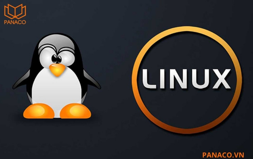 Hệ điều hành Linux hoạt động ổn định, bền bỉ