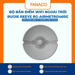 Bộ bắn điểm Wifi ngoài trời Ruijie Reeye RG-AirMetro460G