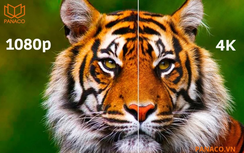 Độ phân giải 4K siêu nét giúp quan sát chi tiết rõ ràng hơn