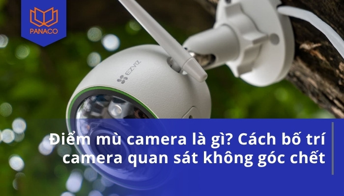 Điểm mù camera là gì? Cách bố trí camera quan sát không góc chết
