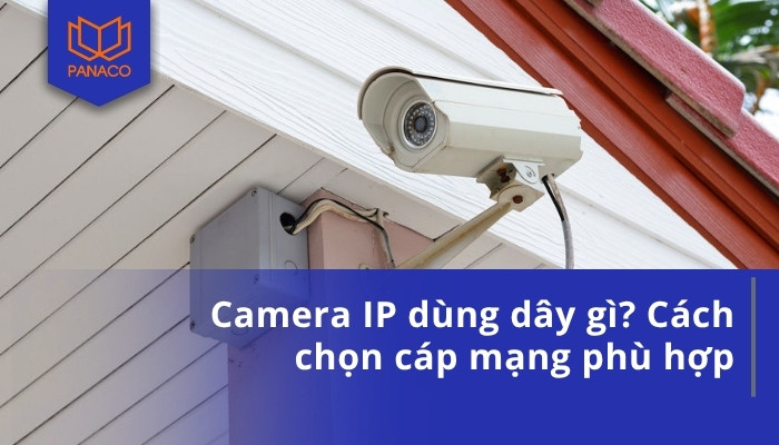 Camera IP dùng dây gì_ Cách chọn cáp mạng phù hợp