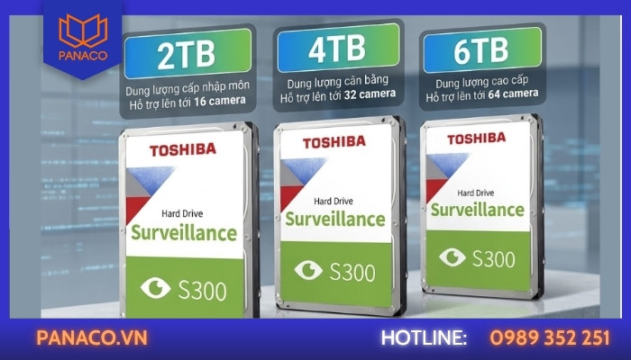 Toshiba S300 có những dung lượng nào