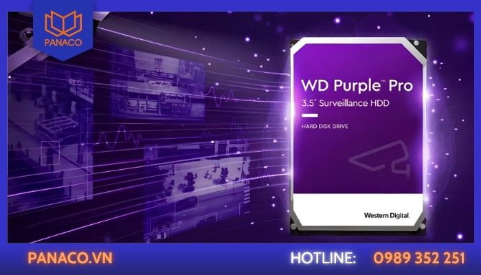 WD Purple có tốt không