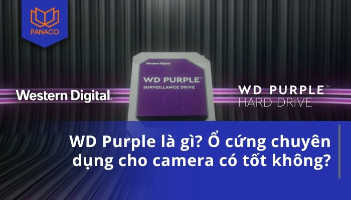 WD Purple là gì_ Ổ cứng chuyên dụng cho camera có tốt không